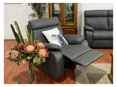 Roma Leather Electric Recliner 